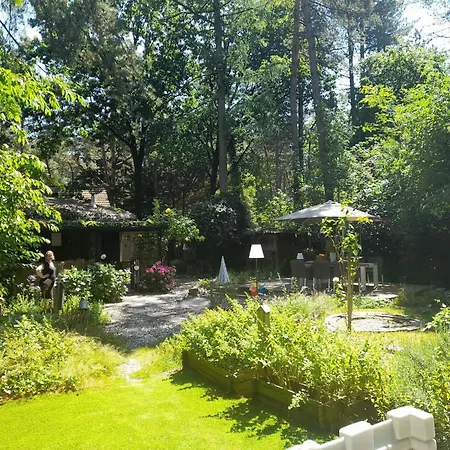 Holiday home Cozy In A Nature Reserve With Garden Oud-Turnhout